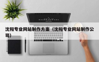 禹城沈阳专业网站制作方案（沈阳专业网站制作公司）